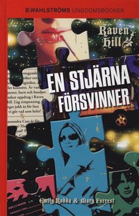 bokomslag En stjärna försvinner