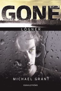 bokomslag Lögner
