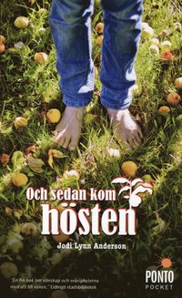 bokomslag Och sedan kom hösten