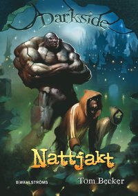 bokomslag Nattjakt
