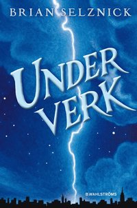 bokomslag Underverk : en roman i ord och bilder