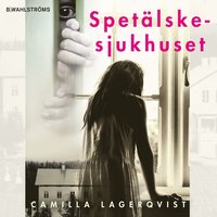 bokomslag Spetälskesjukhuset