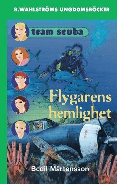 Bodil Mårtensson - Flygarens hemlighet, Häftad