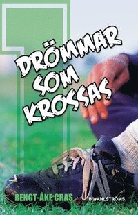 bokomslag Drömmar som krossas