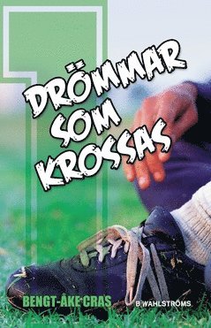 bokomslag Drömmar som krossas