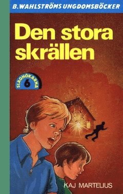 bokomslag Den stora skrällen