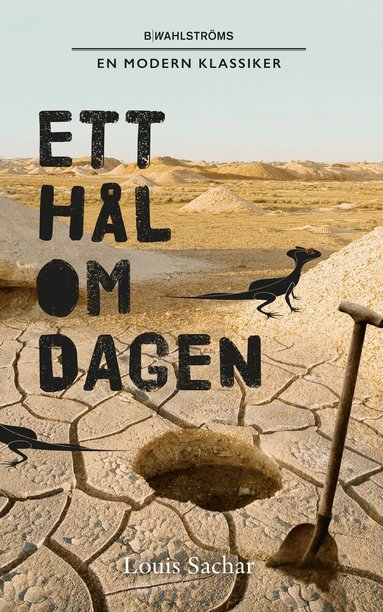 Louis Sachar - Ett hål om dagen, Pocket