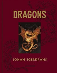 bokomslag Dragons