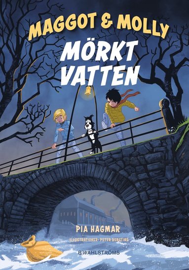 bokomslag Mörkt vatten
