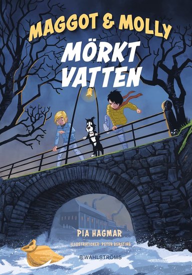 bokomslag Mörkt vatten