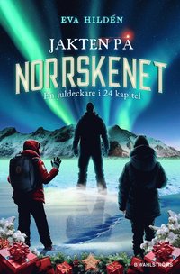 bokomslag Jakten på norrskenet : en juldeckare i 24 kapitel