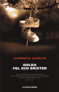 bokomslag Dolda fel och brister