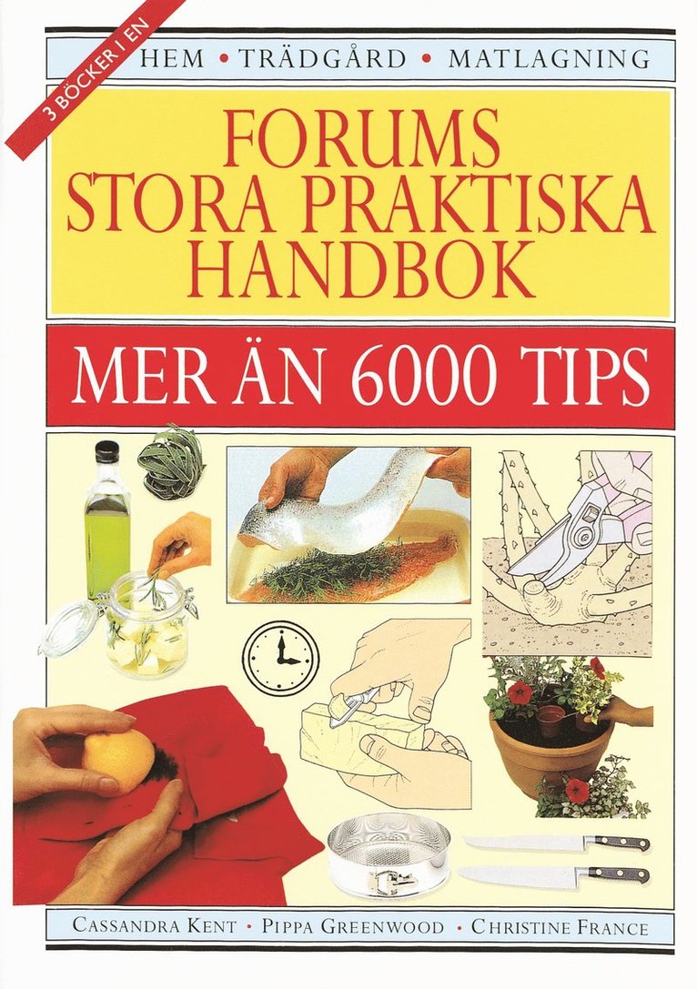 Forums stora praktiska handbok