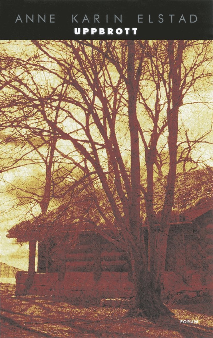 Anne Karin Elstad - Uppbrott, Inbunden