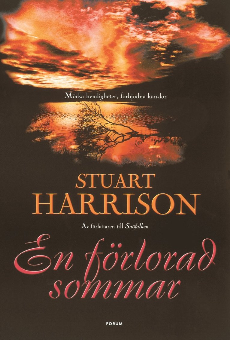 Stuart Harrison - En förlorad sommar, Inbunden