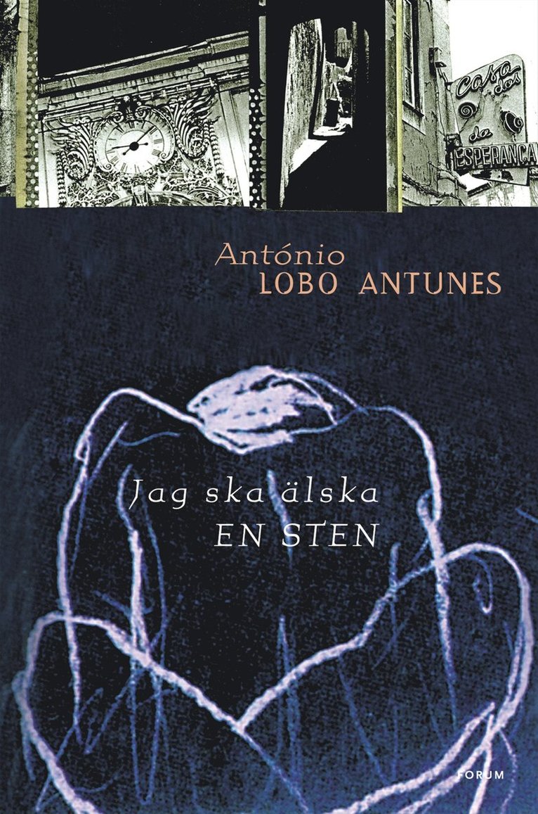 Jag ska älska en sten