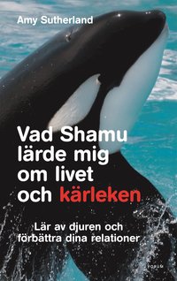 bokomslag Vad Shamu lärde mig om livet och kärleken : lär av djuren och förbättra dina relationer