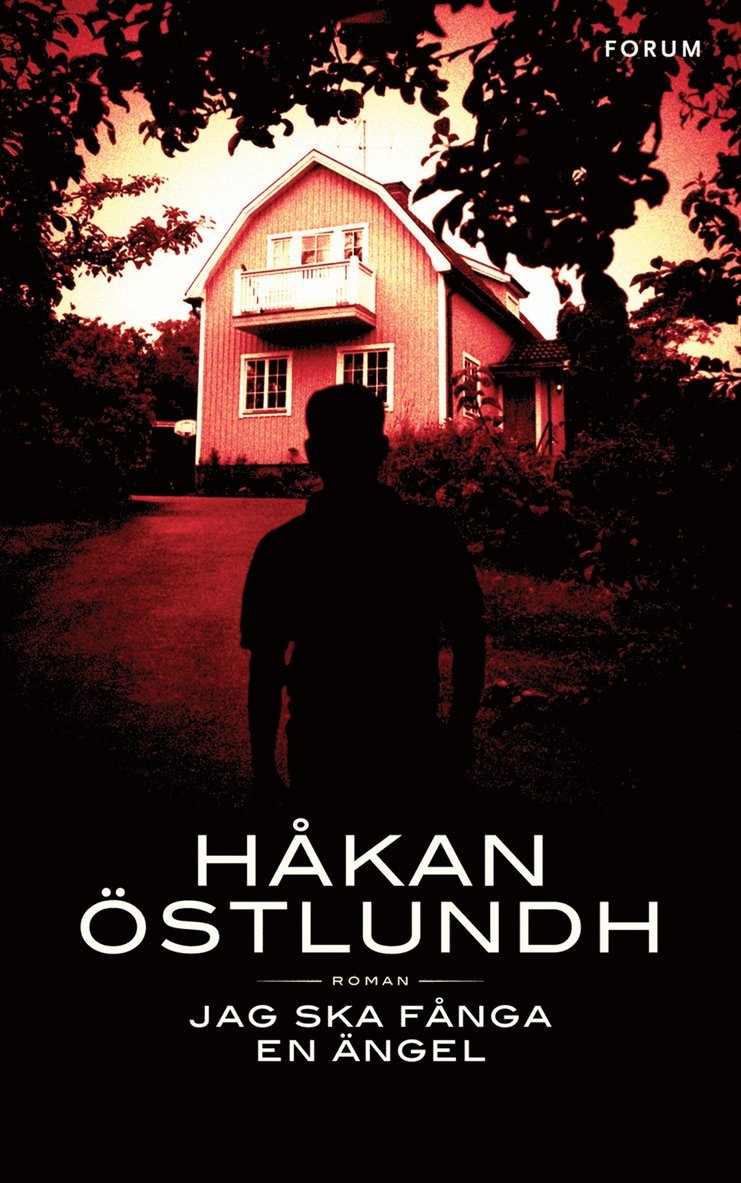 Håkan Östlundh - Jag ska fånga en ängel, Inbunden
