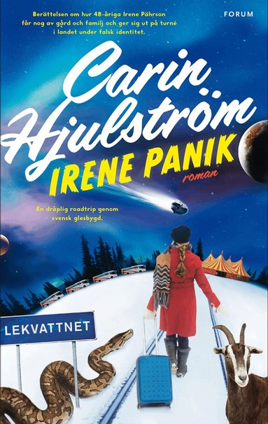 Carin Hjulström - Irene Panik, Inbunden