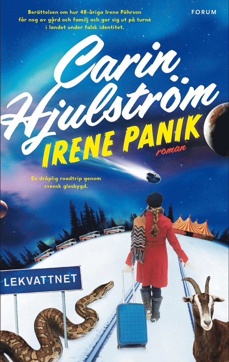 Carin Hjulström - Irene Panik, Inbunden