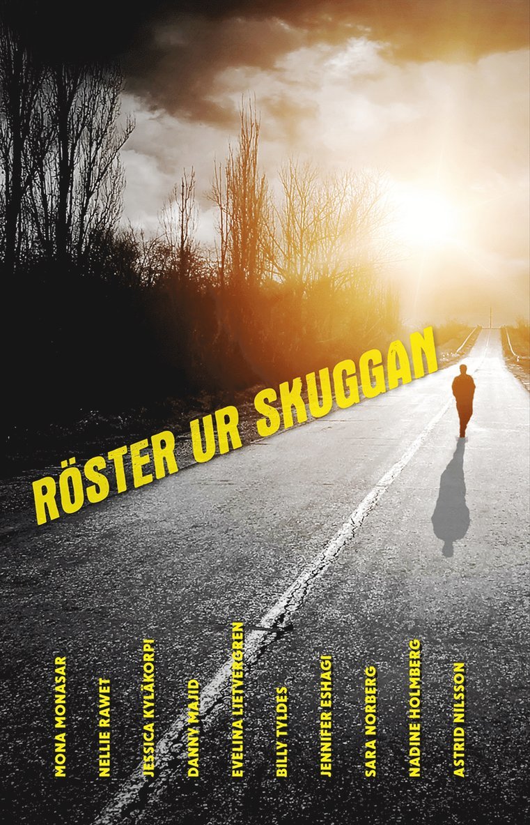 Nadine Holmberg, Billy Tyldes, Jessica Kyläkorpi, Mona Monasar, Evelina Liefvergren, Sara Norberg, Astrid Nilsson, Danny Majid, Nellie Rawet, Jennifer Eshagi - Röster ur skuggan, Kartonnage