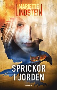 bokomslag Sprickor i jorden