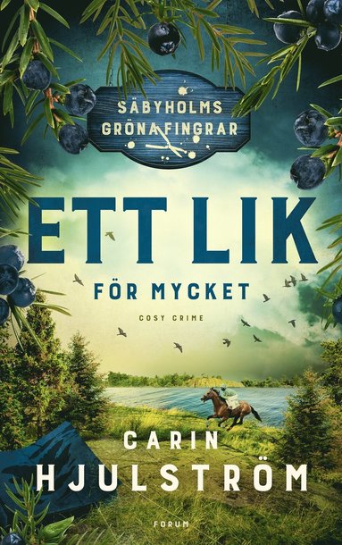 bokomslag Ett lik för mycket