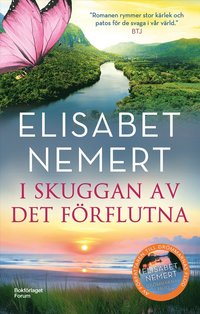 bokomslag I skuggan av det förflutna