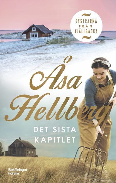 bokomslag Det sista kapitlet