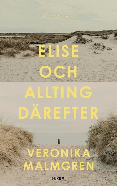 Veronika Malmgren - Elise och allting därefter, Inbunden