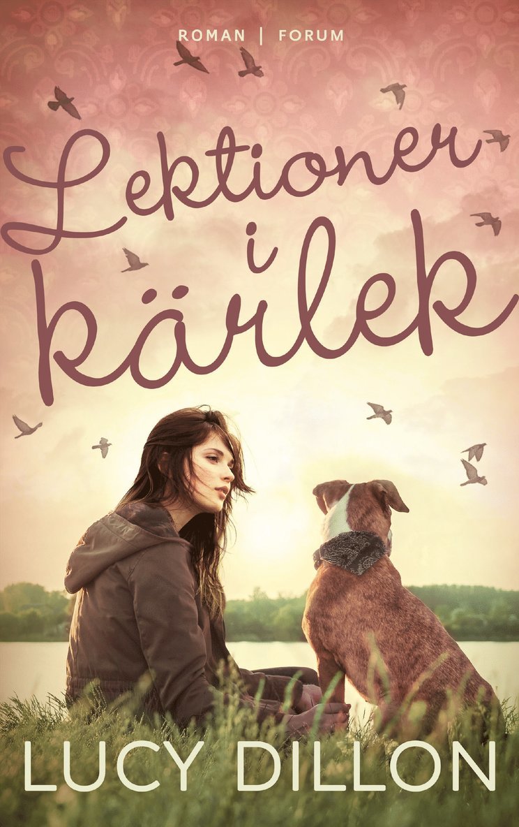 Lucy Dillon - Lektioner i kärlek, Storpocket