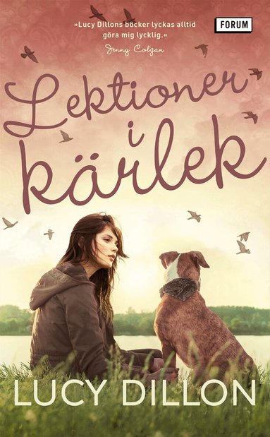 Lucy Dillon - Lektioner i kärlek, Pocket