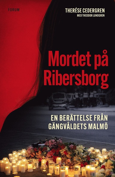bokomslag Mordet på Ribersborg : en berättelse från gängvåldets Malmö