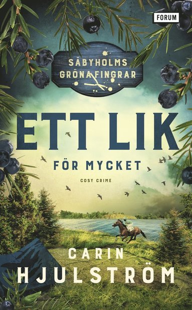 bokomslag Ett lik för mycket