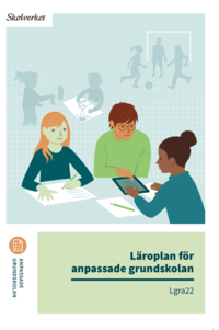 bokomslag Läroplan för anpassade grundskolan. Lgra22 : Uppdaterad 2025