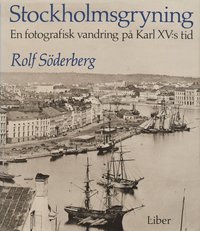 bokomslag Stockholmsgryning : En Fotografisk Vandring På Karl Xv:S Tid
