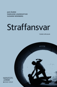 bokomslag Straffansvar