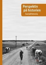 bokomslag Perspektiv på historien Socialhistoria