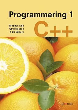 bokomslag Programmering 1 C++