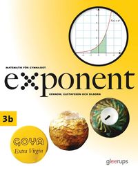 bokomslag Exponent 3b