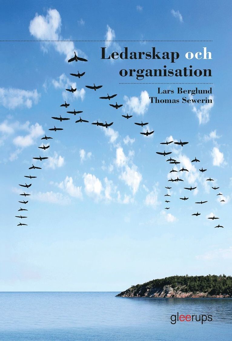 Lars Berglund, Thomas Sewerin - Ledarskap och organisation, elevbok, Kartonnage