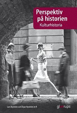 bokomslag Perspektiv på historien Kulturhistoria