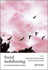 bokomslag Social mobilisering : en utmaning för socialt arbete