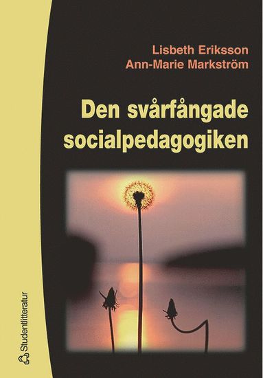 bokomslag Den svårfångade socialpedagogiken