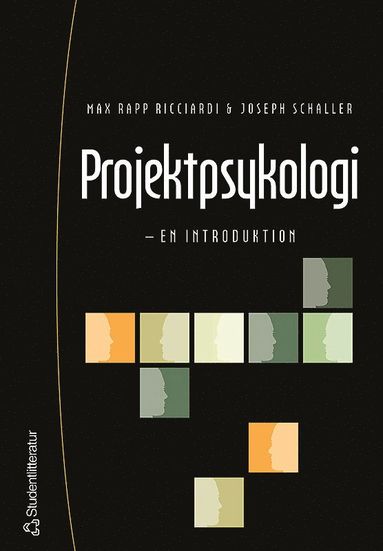 bokomslag Projektpsykologi : en introduktion