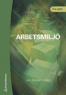 Lars Zanderin - Arbetsmiljö, Häftad