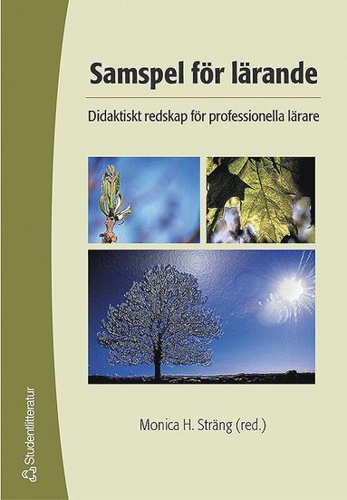bokomslag Samspel för lärande : didaktiskt redskap för professionella lärare