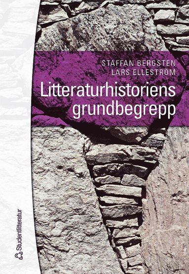 bokomslag Litteraturhistoriens grundbegrepp