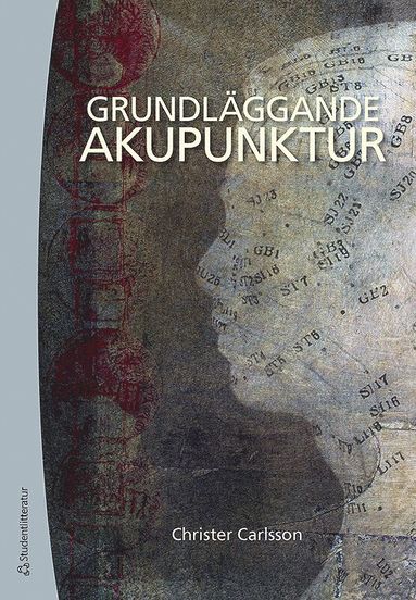 bokomslag Grundläggande akupunktur