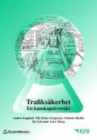 bokomslag Trafiksäkerhet : en kunskapsöversikt. D. 6